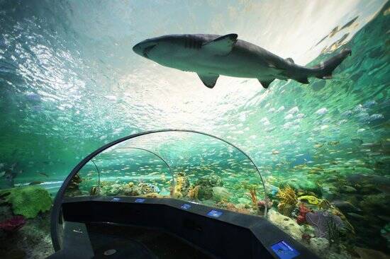 25 melhores aquários do mundo