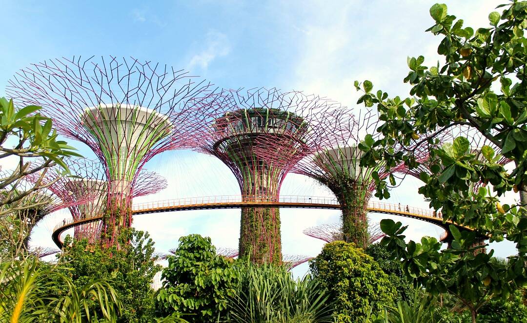 Gardens by the Bay: O jardim cartão-postal de Singapura