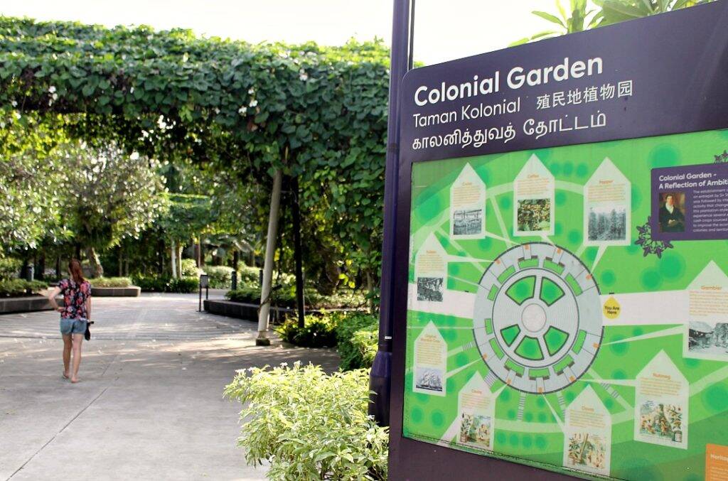Gardens by the Bay: O jardim cartão-postal de Singapura