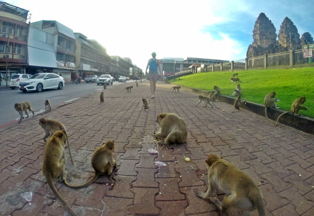 Lopburi, a cidade infestada por macacos