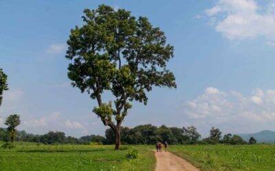 Trekking em Hsipaw, Myanmar: caminhada pelas aldeias da Birmânia
