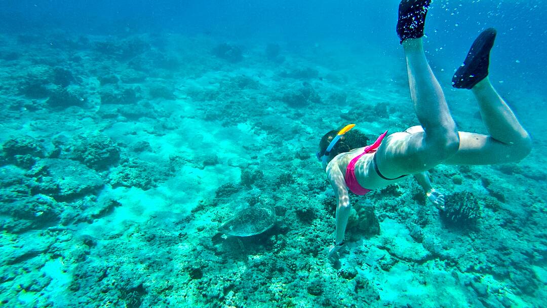 Victória nadando com uma tartaruga em Gili T (uma das ilhas mais famosas da Indonésia)
