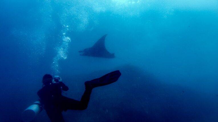 Mergulho em Nusa Penida - mergulho para ver a Manta Ray na Indonésia