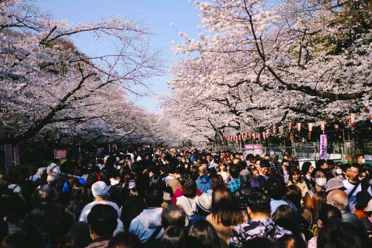 Ueno Park lotado durante a época de Cherry Blossoming, na primavera
