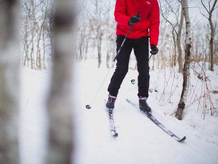 O que fazer em Winnipeg no inverno e frio do Canadá